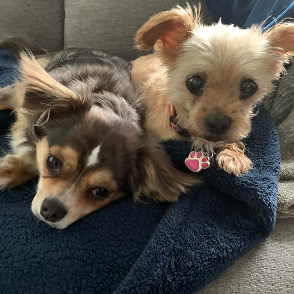 Meet your Posher, Janice - Picture 10 of 14